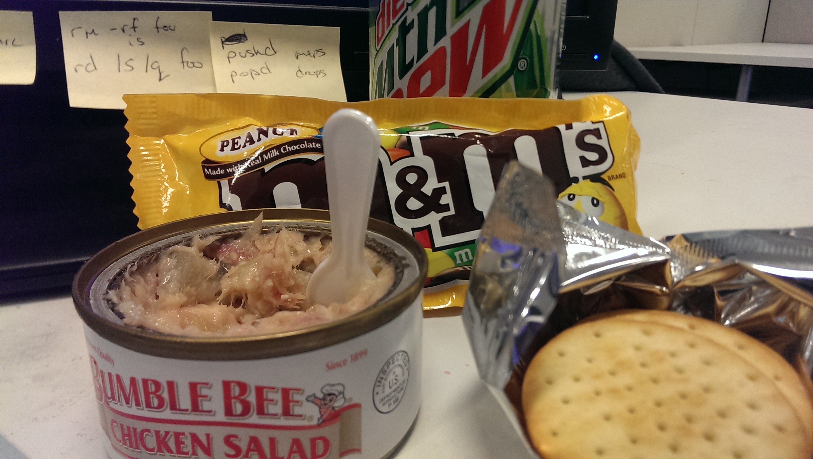 The world's most depressing lunch
