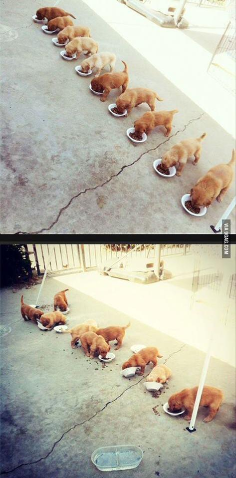 The difference between theory and practice--multithreading